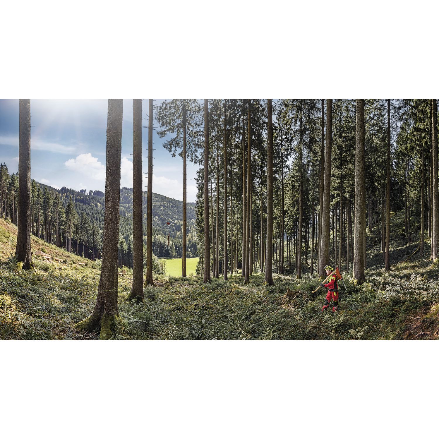 KÜBLER Hosenträger Forest rot/schwarz Breite 50 mm
