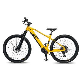 Artikelbild für RAYMON E-Bike HardRay E 7.0 29" Gr. L