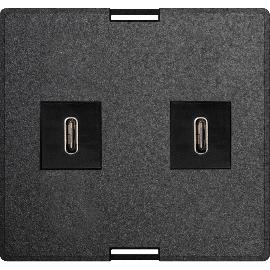 Artikelbild für EVOline Wechselmodul USB Charger 2 x USB Typ C schwarz inkl. Netzteil