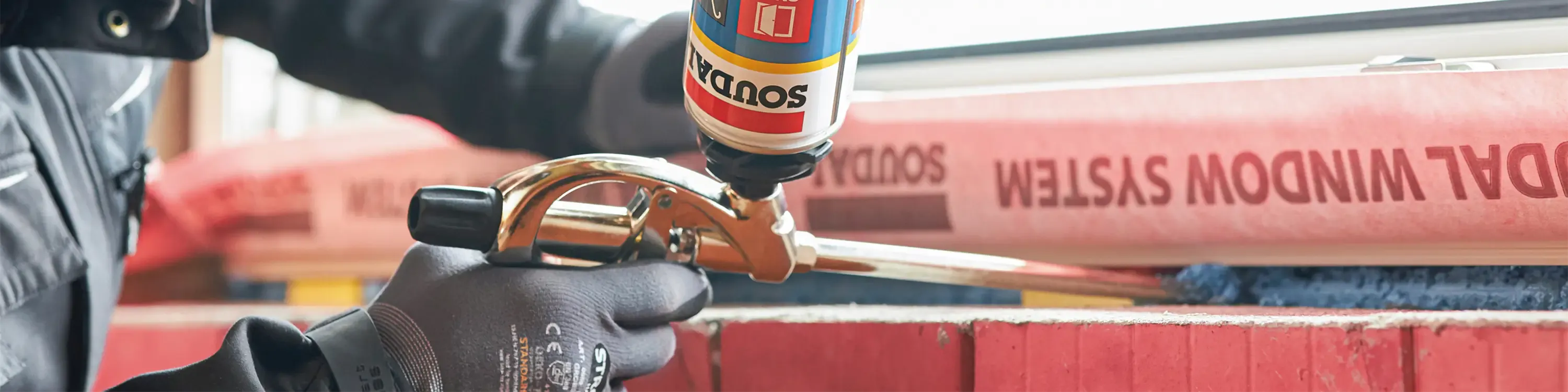 Hovered Banner Image